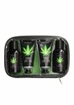 CBD Luxe Reisset Groene Thee Hennepolie