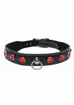 Fierce Vixen - Leren Halsband met Strass