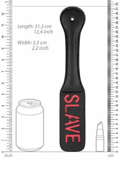 Paddle SLAVE
