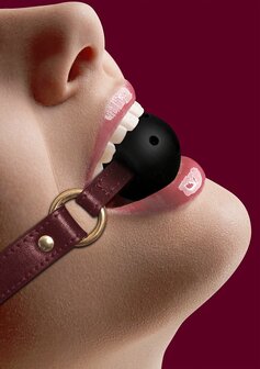 Ballgag met Gaten