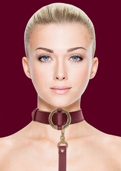 Luxe Collar met Riem