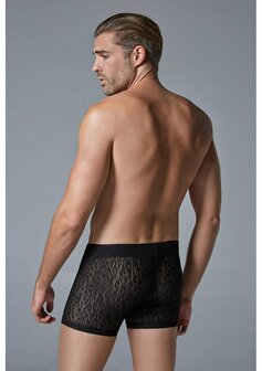 Luipaard Boxer S/M