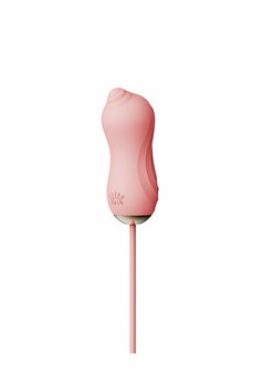 Zuigende Vibrator met Pomp