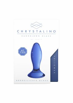 Follower - Glazen Butt Plug