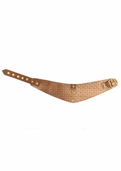 Look at Me - Posture Collar