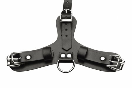 Pup - Puppy Play Masker + Adembare Ball Gag