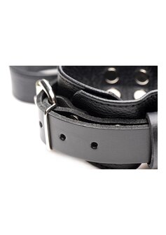 Leather Bed Restraint Kit