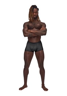Mini Short - L Medium