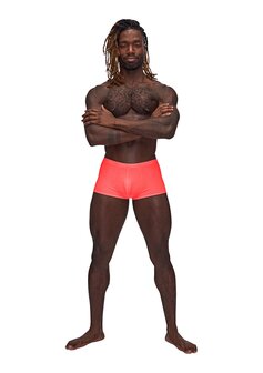 Mini Short - L Medium