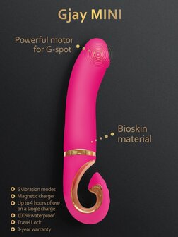 Gjay Mini - Wildberry