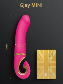 Gjay Mini - Wildberry