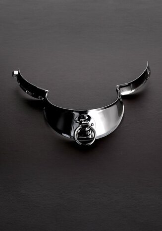 Herenhalsband met Sluiting - 38 cm