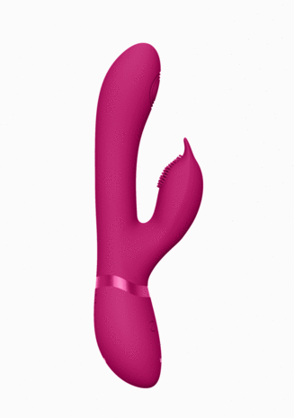 Aimi - G-Spot en Clitoris Vibrator