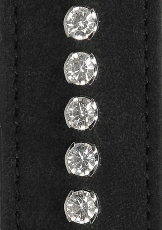 Hogtie Connector met Diamanten