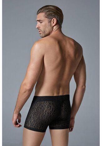 Luipaard Boxer S/M