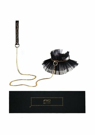 Leather Torn - Collar and Leash