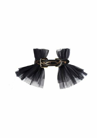 Leather Torn - Collar and Leash
