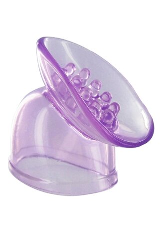 Lily Pod Wandbevestiging - Paars
