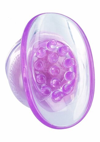 Lily Pod Wandbevestiging - Paars