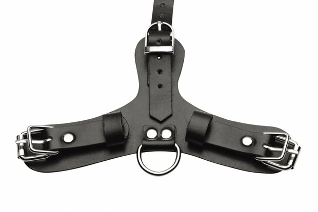 Pup - Puppy Play Masker + Adembare Ball Gag