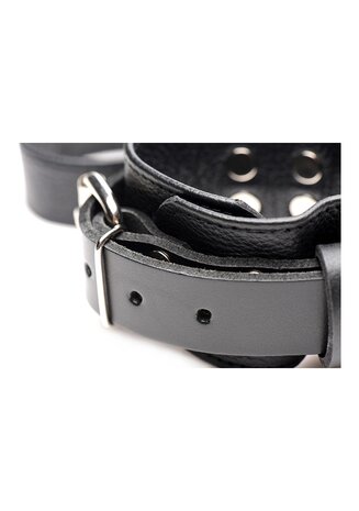 Leather Bed Restraint Kit