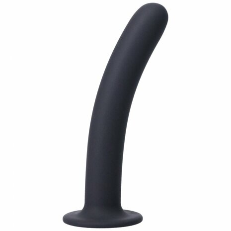 Harnas & Dildo
