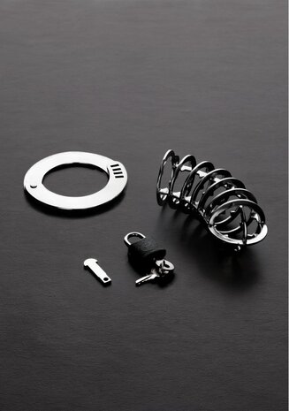 De Puntige Chasity Cage